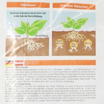 Article Terreau Villa Flora 10l