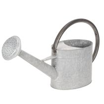 Article Arrosoir vintage en métal gris argenté, élégant objet de décoration de jardin, vase à fleurs, L 53 cm x H 29 cm