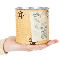 Article Pot de fleurs/boîte en métal style vintage avec inscription, pour décoration intérieure, 11 cm, lot de 3