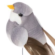 Article Oiseaux décoratifs artificiels pour la maison, parfaits pour le printemps, avec un plumage coloré en véritables plumes, 5 cm, lot de 18.