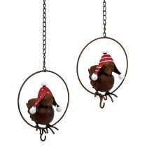 Article Oiseau dans un anneau comme cintre alimentaire Ø12,5cm L45cm 2pcs