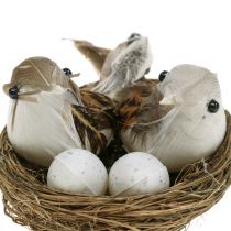 Nid avec œufs et oiseaux 6P