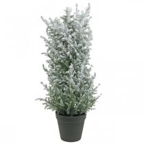 Genévrier artificiel en pot plante artificielle enneigée H47cm
