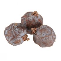 Article Cônes de genévrier Genévrier de Syrie naturel Ø1,5–2,5 cm 1 kg