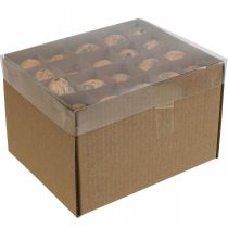 Article Oeufs de caille décoration oeufs soufflés orange abricot 3cm 50 pcs