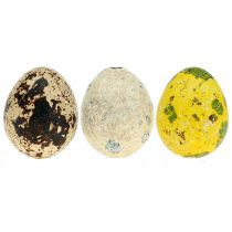 Oeufs de caille assortiment jaune, naturel 3cm 62pcs