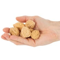Article Noix décoratives, produit naturel, 3-4 cm, 300 g