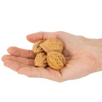Article Noix, un produit naturel pour la décoration de table et les projets de bricolage. Noix naturelles, 4-5 cm, 300 g.