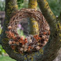 Article Couronne en osier naturel, idéale pour la confection de couronnes artisanales en art floral, 40 cm