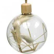 Article Boules de Noël boule de décoration en verre remplie de fleurs séchées Ø8cm 3pcs