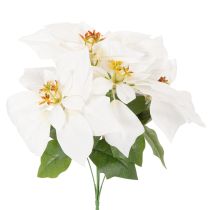 Article Poinsettia artificiel blanc à grande fleur, plante décorative, 40 cm