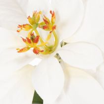 Article Poinsettia artificiel blanc à grande fleur, plante décorative, 40 cm