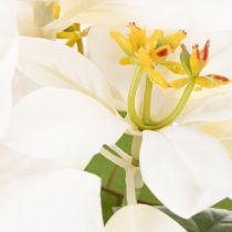 Article Poinsettia artificiel blanc à grande fleur, plante décorative, 40 cm