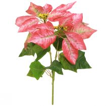 Article Poinsettia Artificiel Rouge Rose L35cm 6pcs 2 bouquets