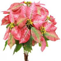 Article Etoile de Noël étoile de Noël artificielle rouge rose L53cm