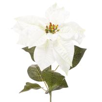 Article Poinsettia blanc artificiel, grande branche fleurie décorative, 65 cm, 2 pièces