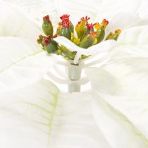 Article Poinsettia blanc artificiel, grande branche fleurie décorative, 65 cm, 2 pièces