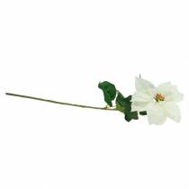 Article Poinsettia, fleur artificielle blanche 67cm