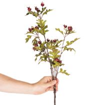 Article Branche d'aubépine artificielle avec baies rouges, décoration, 110 cm