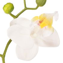 Article Orchidée blanche artificielle en pot Phalaenopsis H33cm