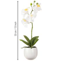 Article Orchidée blanche artificielle en pot Phalaenopsis H33cm