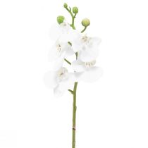 Article Orchidée artificielle blanche Phalaenopsis Real Touch 32cm