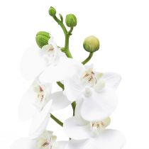 Article Orchidée artificielle blanche Phalaenopsis Real Touch 32cm