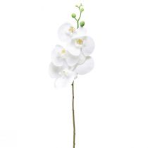 Article Orchidée artificielle blanche Phalaenopsis Real Touch 85cm