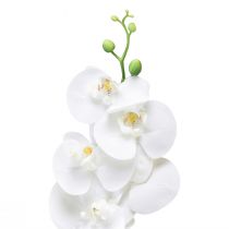 Article Orchidée artificielle blanche Phalaenopsis Real Touch 85cm