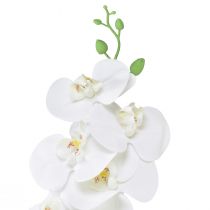 Article Orchidée artificielle Phalaenopsis blanche Real Touch H83cm