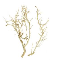 Article Buisson Blanc blanchi 5 pcs