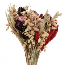 Article Bouquet de fleurs sauvages séchées rose naturel L30cm