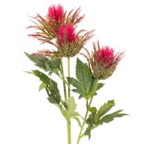 Article Branche de chardon rouge artificielle pour décoration, 67 cm, 3 pièces