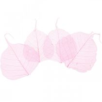 Article Feuilles de squelette Feuilles de saule squelettées roses 5-9cm 200 pcs
