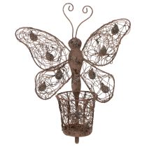 Article Lanterne en métal, décoration murale, papillon, finition rouille, 36,5 cm