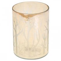 Article Lanterne Verre Arbres Marron Bougie Verre Ø12cm H15cm