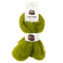 Article Mèche de laine feutrée douce pour créations décoratives et compositions saisonnières, 2 m, verte