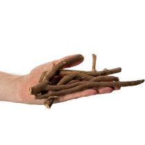 Article Branches et rhizomes décoratifs en bois, séchés naturellement, 18 cm, 500 g