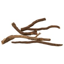 Article Branches et rhizomes décoratifs en bois, séchés naturellement, 18 cm, 500 g