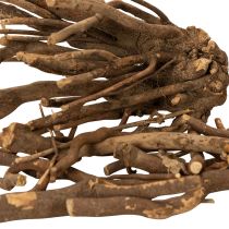 Article Branches et rhizomes décoratifs en bois, séchés naturellement, 18 cm, 500 g