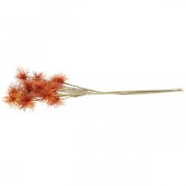 Article Xanthium fleur artificielle décoration d'automne orange 6 fleurs 80cm 3pcs