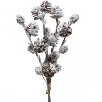 Article Branches de Noël branche conique enneigée 30 cm 5 pièces en paquet