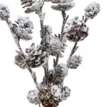 Article Branches de Noël branche conique enneigée 30 cm 5 pièces en paquet