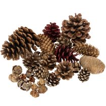 Article Pommes de pin mélangées, naturelles, pour loisirs créatifs et décorations de l'Avent, 2 à 10 pièces, 400 g