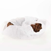 Article Pot de fleurs ovale en forme de pomme de pin, 30 cm