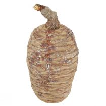 Article Cônes de cèdre cèdre décoratif naturel 9-10,5cm 3 pcs