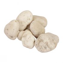 Pierres décoratives galets de rivière pierres décoratives blanches 2cm - 5,5cm 5kg