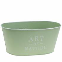 Article Coupe fleur ovale zinc vert menthe 27×18cm H12.5cm