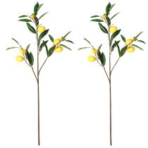 Article Branches de citronnier décoratives, plantes artificielles, 91 cm, lot de 2