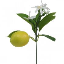 JUSTDOLIFE Branche De Citron Artificielle Créatif Réaliste Fruit Artificiel pour La Décoration 